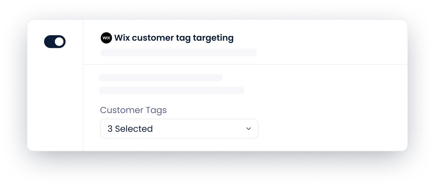 Segmentação de tags de clientes Wix